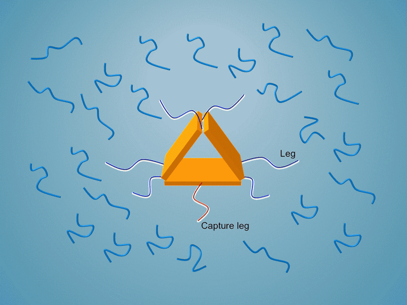 File:Remove-staple.gif