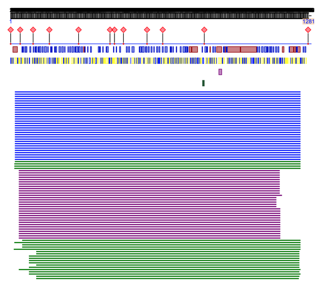 File:Screen Shot 2020-04-22 at 1.17.59 PM.png