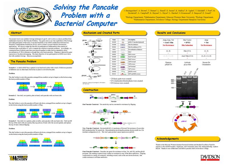 File:Solving the Pancake Problem Using a Bacterial Computer
