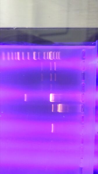 File:20140801 132828.jpg