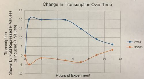 Change in Transcription Over Time Graph