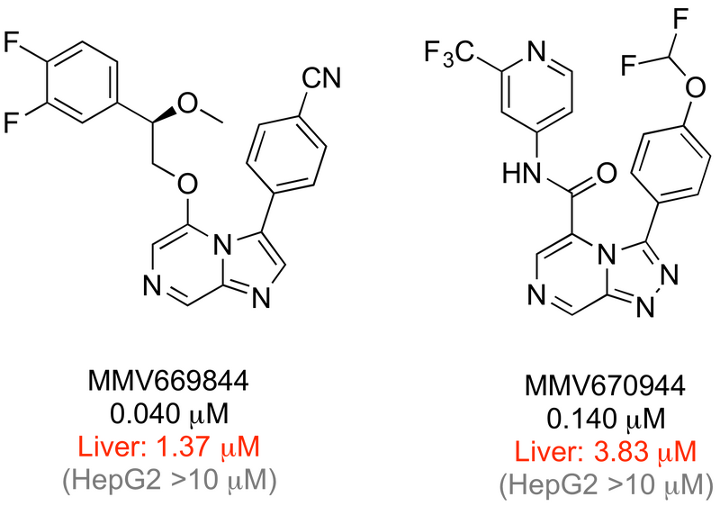 File:Liver Stage Data.png