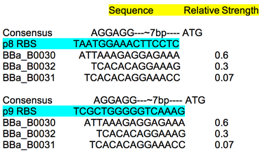 RBS characterization table