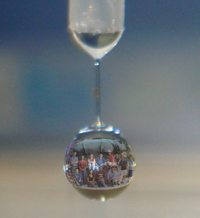 Harvard 2007 iGem team...not afraid to get wet. :P