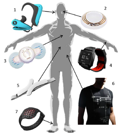 The different types of WHDs