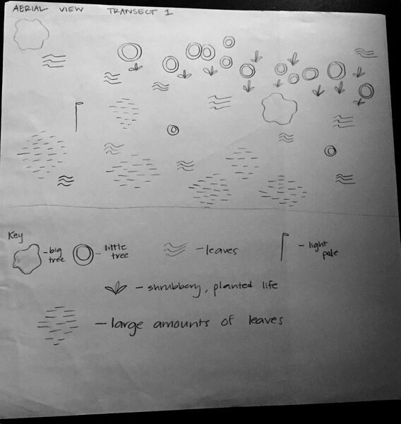 File:AerialTransect View.jpg