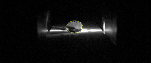 Zero Calf Thymus DNA (0μ/mL)