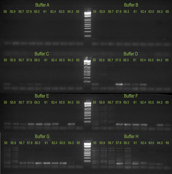 File:20130209 Gelc.png