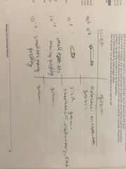 bacterial characterizations