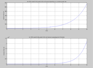 Graph to show the growth of the bacteria depending on a constant growth rate