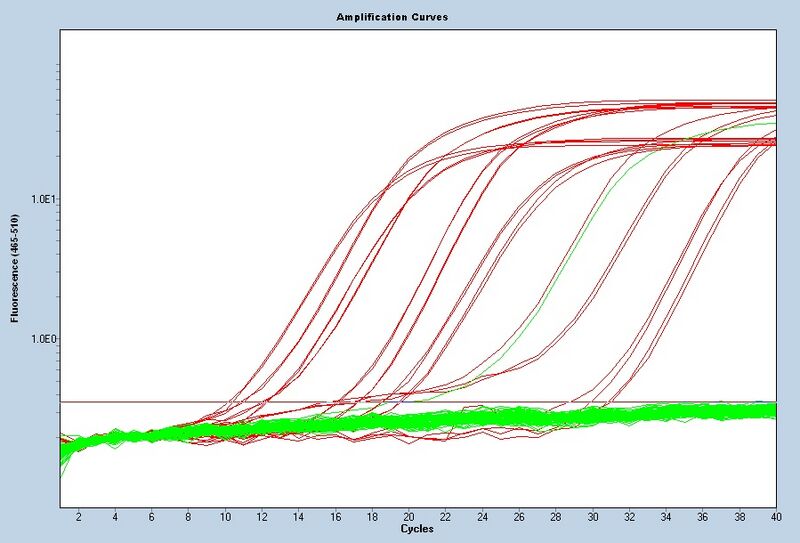 File:S14 M3D5 WFxt noiseband.jpg