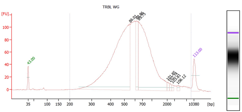 File:TRBLWG Bioanalyzer.PNG