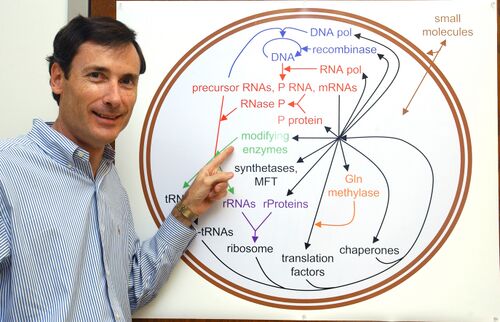 Minimal Cell Project