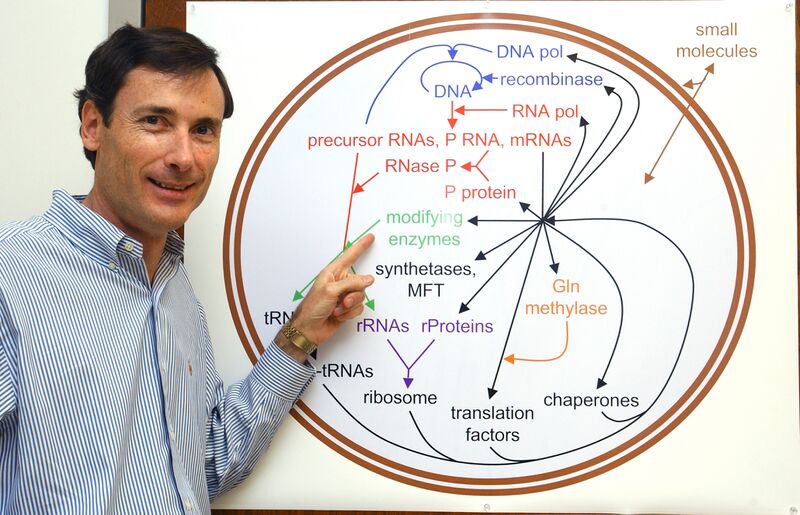 File:Tony Forster003.jpg