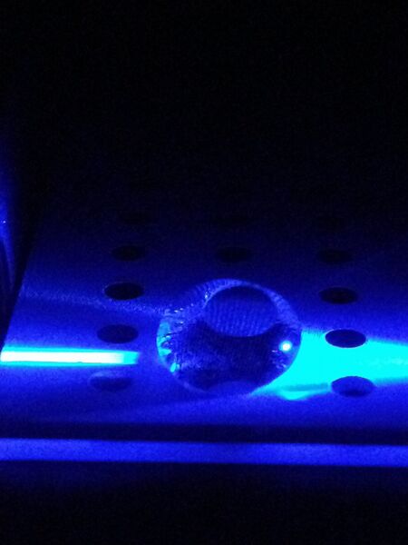 File:BME103 Group1 water.jpg