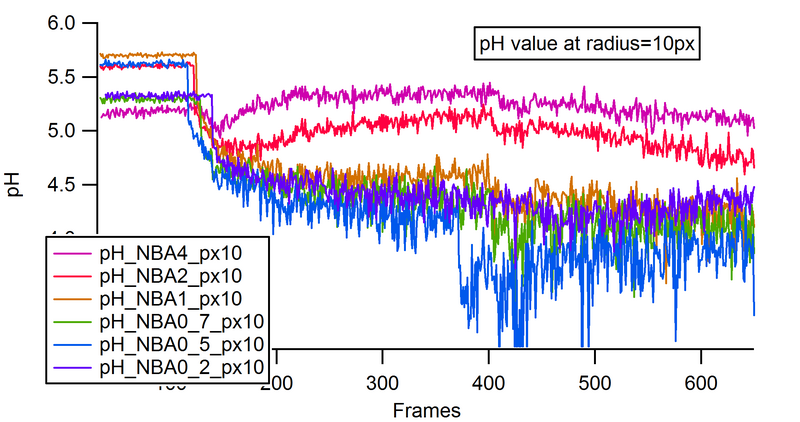 File:Chris nie Ph10px.png