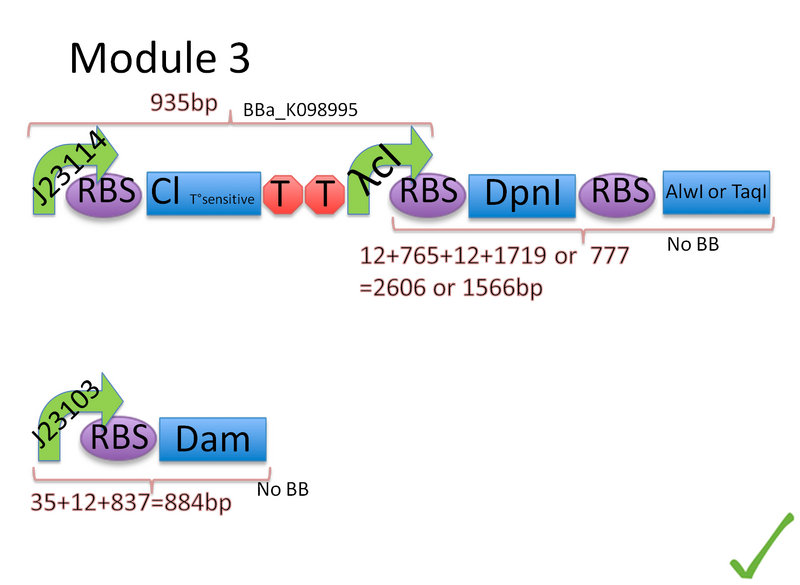 File:M3Schematic1.png