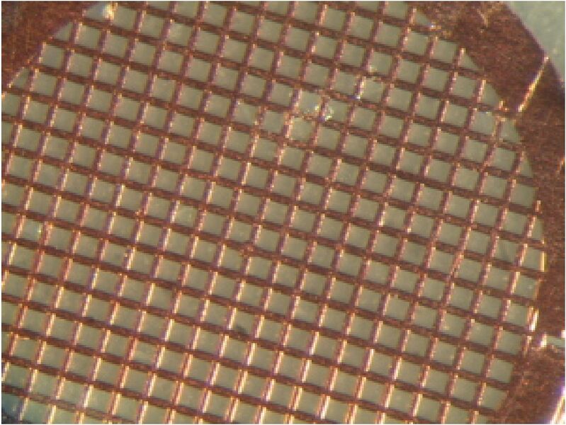 File:Macintosh HD-Users-nkuldell-Desktop-TEMgrid.jpg