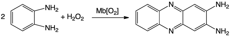 File:OPD catalysis reaction.png