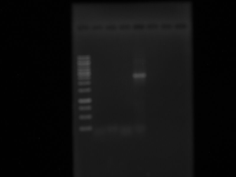 File:OmpF RTTH 073010.jpg