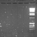 Thumbnail for version as of 21:49, 4 January 2011