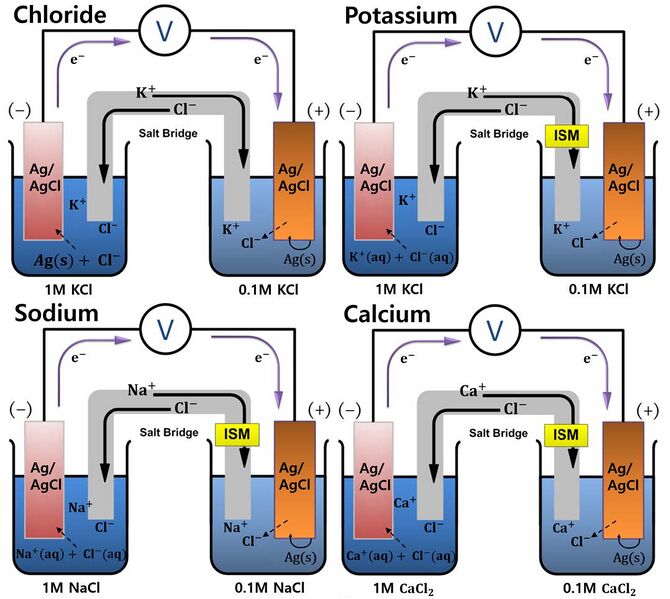 File:Figure 5 Heavy metals.jpg