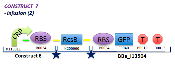 File:II09 ConstM2b.jpg