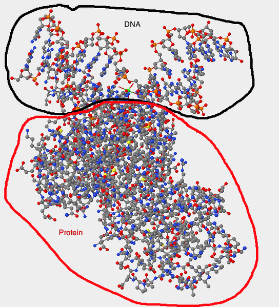 File:CHR Image1 20111005.png