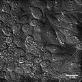 Thumbnail for version as of 00:12, 12 December 2012