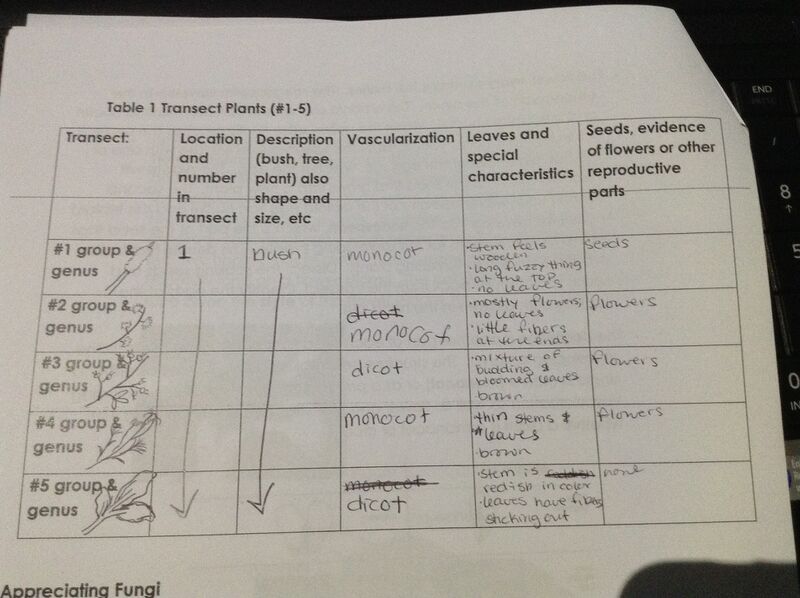File:Description of Plants 001.jpg