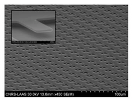 Figure 4. Salomon et al. fabricated an array of nanocantilevers on the scale of 105 nanocantilevers/cm2.