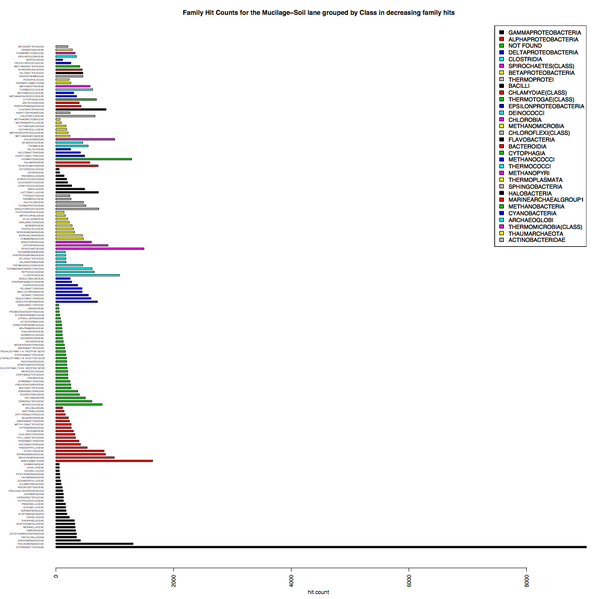File:Mucilage-Soil family abundance.png