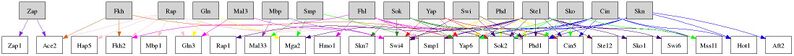 File:RegulationNetworkImage.jpg