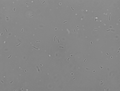 Thumbnail for version as of 14:01, 28 August 2008