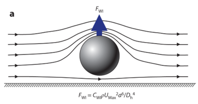 Figure 1. The Wall Interaction Force [1]