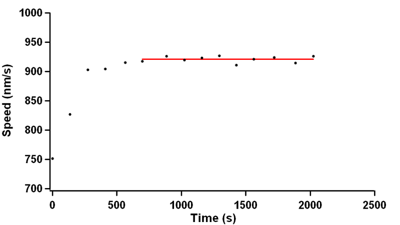 File:AM WCNewSolutions.png