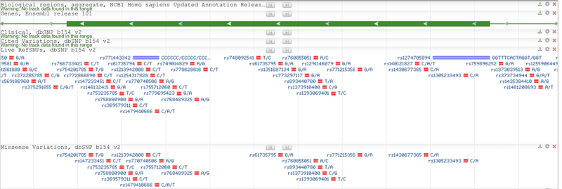 File:DaMota Exon11v.png