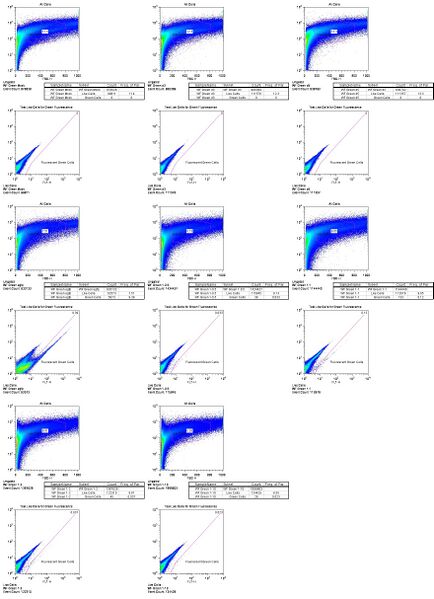 File:Green WF Flow.jpg