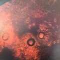 Thumbnail for version as of 21:32, 4 February 2015