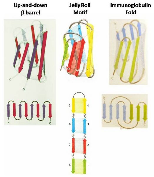 File:JCA StrucBiolTour5.jpg