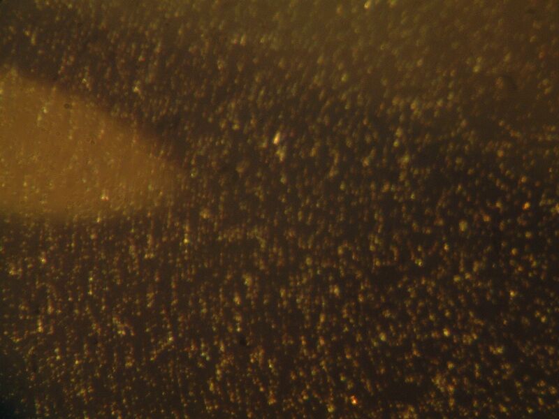 File:Plus control.jpg