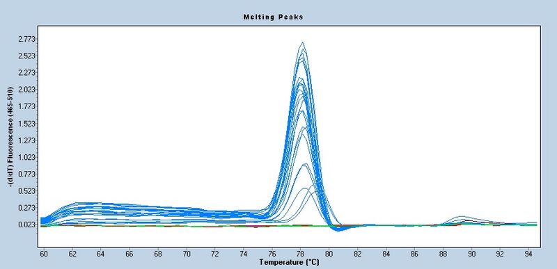 File:S14 M3D5 WF CNI-melt.jpg