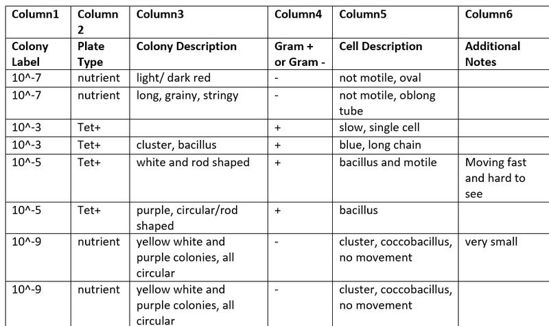 File:Screenshot (84).jpg