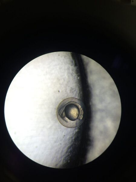 File:12442718 10153543731462794 2063023453 n.jpg