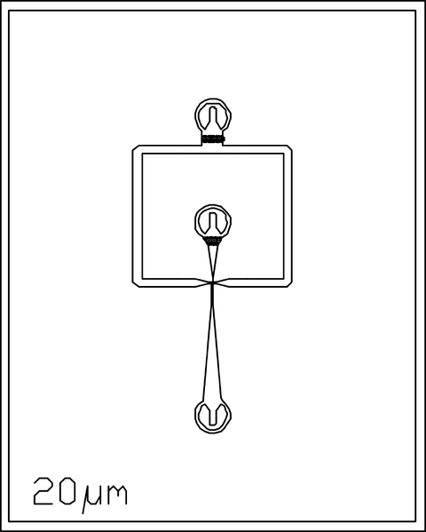 File:20um 2 inlets.png