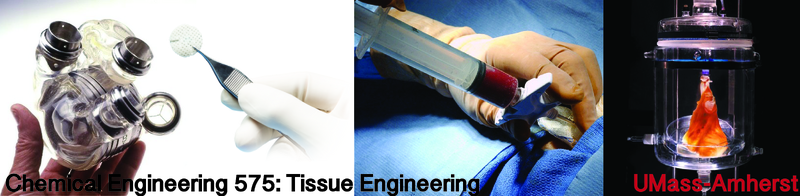 File:575 web header 2-01.tif