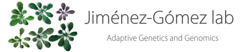 File:Banner.Home.plant nat var.jpg