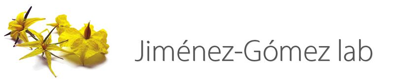 File:Banner flowers.jpg