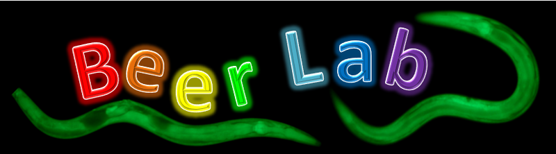 File:C elegans and Yeast.png