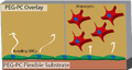 Thumbnail for version as of 15:58, 10 February 2012